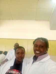 Sciencemadeeasy.gnomio.com